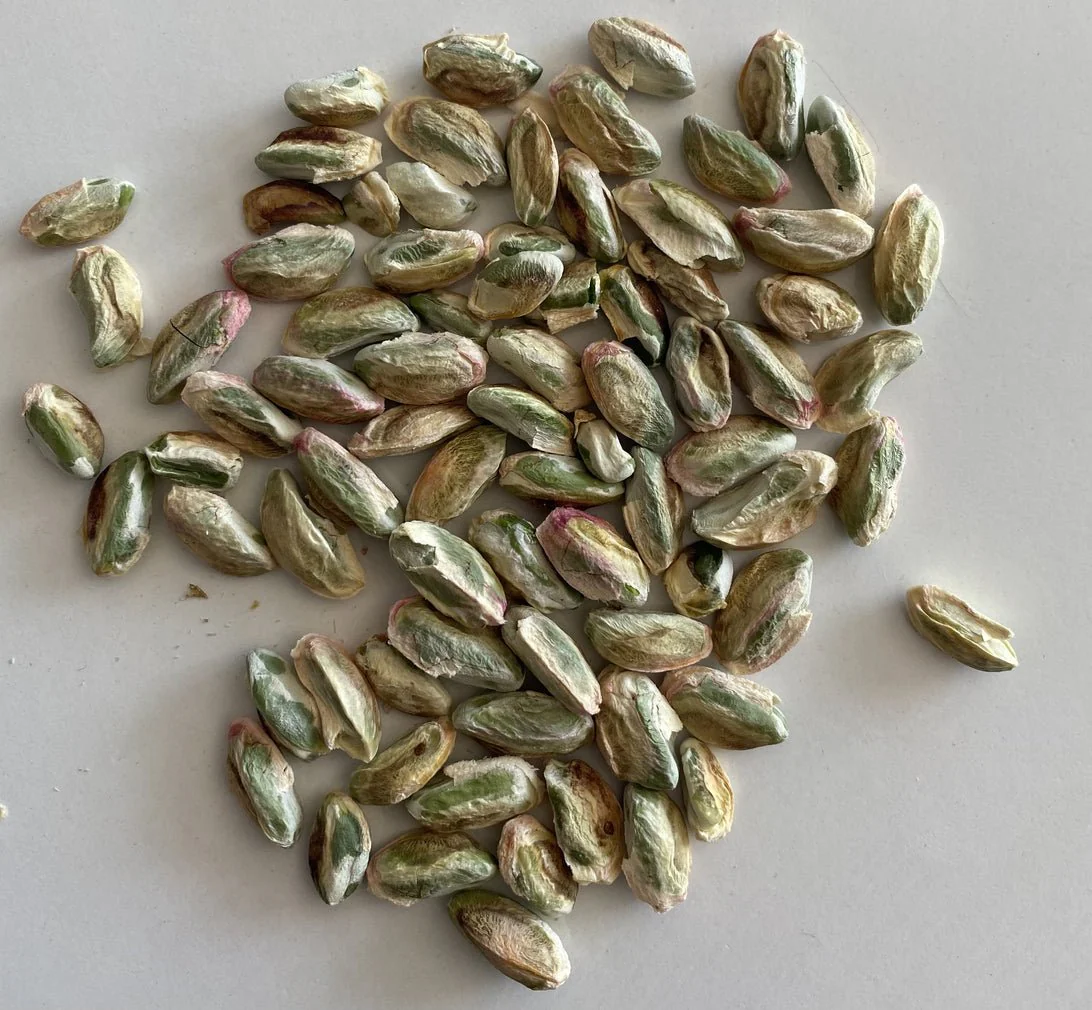 Kus Boku Pistachio Kernel